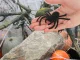 Large Halloween Spider Decorations, 4 pcs, Black