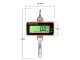 Hanging Crane Scale with LCD and Remote Control, 500 kg