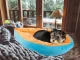 Soft Plush Bed for Dogs and Cats, Leaf Shape