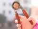 Nutcracker with Wooden Handles (17 cm)
