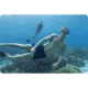 Bestway 25020 Snorkeling Set (Mask, Snorkel, Fins 41-46), Turquoise