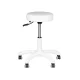 Hydraulic Beauty Salon Stool AM-303-2 White