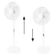 Longwell Industrial Ltd H-072 45W Standing Fan, White