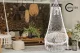 Carruzzo Queen Woven Hanging Chair with Canopy