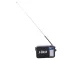 Portable Retro AM/FM Radio RDD RD-306 with Flashlight & X-BASS, black
