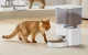 Rojeco 4.5L Automatic Pet Feeder WiFi RWSQMFWFO-DP