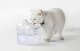 Rojeco 1.5L Pet Water Fountain - Ultra-Quiet Automatic Dispenser Cats & Dogs