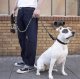 Reflective Rope Training Leash for Large Dogs 5m Purlov 21655