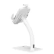 Maclean MC-468W Tablet Desk Stand with Lock, 7.9\"-11\", White