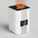 Carruzzo Flame Effect Air Humidifier and Aromatherapy Diffuser 3.5L