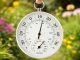 Analog Wall Thermometer with Hygrometer Indoor Outdoor, Grey-Black