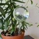 Watering Globe Irrigation Balls for Watering Flowers and Plants, 8 pcs.