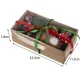Purlov Christmas Dog Toy Set (6 pcs)