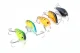 A set of 5 Fishing Lures Hard Baits in a Case