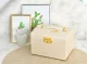 Beautylushh Jewelry Box, Beige