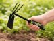 2-in-1 Hand Garden Hoe and Cultivator Rake DIVODV, Black-Green