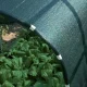 JAMAICA Screening Woven Net 90 g/m² 2 x 5 m, Green