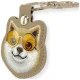 Nimmy Glasses Cool Dog Tracker Case, Brown