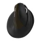 Delux M618 Mini Wireless Ergonomic Mouse