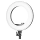 Activeshop 18\" 48W LED Ring Light with Tripod, Black