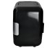 Picnic Beach Mini Cooling Box for Food Drink 220V/12V, 4L, Black