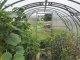 Greenhouse Klasika 12 (3X4M) With Foundations And 6Mm Polycarbonate Coating; 4779037490202