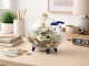 Large Glass Piggy Bank for Coins and Bills, Clear Money Saving Jar for Adults & Kids