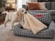 Soft Rectangular Pet Bed for Dogs and Cats, 60x50 cm, Verk Group