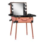 KUFER Professional Table/Suitcase for Makeup Cosmetic Artist with Mirror and LED Lighting T-27, rose
