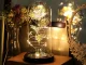 Eternal Rose in Glass Dome with LED Light and Gift Box