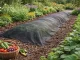 DIVODV Black Weed Control Fabric, 50 g/m², 1.5 x 10 m
