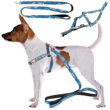 Adjustable walking harness with leash for dogs and cats, size M