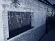 LED Light Curtain 300 LED, Cold White, 10m, Connectable