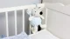 Bakalu Mouse Plush Hanging Toy with Music Box