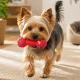 Squeaky Dog Toy Dumbbell, 13 cm, Red