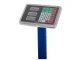 Electronic Platform Scale 100kg LCD Blue