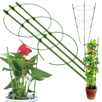 Round Ring Plant and Flower Support, 60 cm, Green