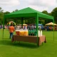 Multigarden PAW-3X3-A-GR Automatic Pop-up Garden Pavilion 3x3 m, Green
