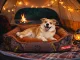 Soft Pet Bed for Dogs and Cats, 70x55 cm