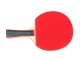 Table Tennis Set with 2 Ping Pong Paddles 3 Balls and Carrying Case