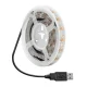 Newell LED Strip for 27\"-29\" Monitor, USB, RGBIC, 65 LEDs, IP44