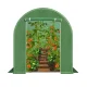Carruzzo Polytunnel Greenhouse 20x8 ft Walk-in Garden Hoop House