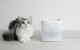 PetKit Eversweet SOLO SE Pet Fountain for Dogs and Cats, White