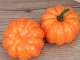 Decorative Pumpkin Artificial Polystyrene Decoration Halloween Autumn