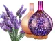 Air Humidifier and Aroma Diffuser with 3D RGB Night Light, 120ml