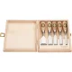 Kirschen Short Chisel Set in Wooden Box, 5 pcs. 1157000