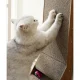 Purlov Cat Corner Scratcher with Toy Cardboard Scratching Post