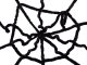 Halloween Decoration Black Spider Web, 90x90 cm