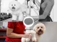2in1 Pet Drying Brush, Dog and Cat Grooming Hair Dryer-Comb
