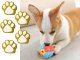 Interactive Dog Treat Ball Food Dispenser and Chew Toy